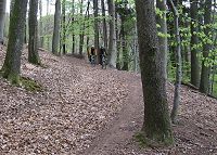 Trail bei Rimlingen