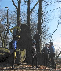 Keltenstein im Hochwald