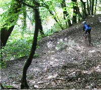 Wieder am Schaumberg