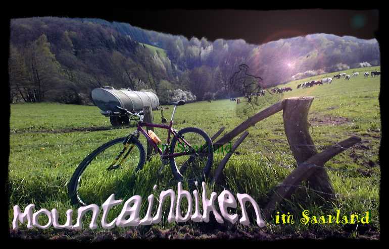 Frühling im Saarland