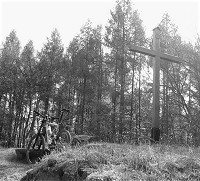 Kreuz Herrgottstein