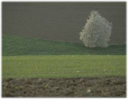 ökologischen Landbau unterstützen!