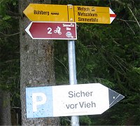 Sicher vor Vieh!