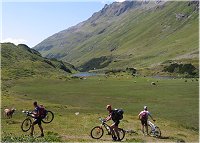 Bikerverkehr am Langen See