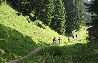 Geologischer Lehrpfad-Trail