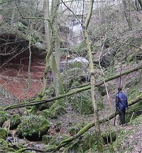 Felsen im Sonnental