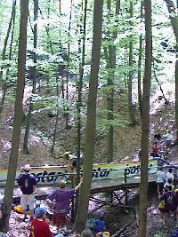 Brücke im Wald