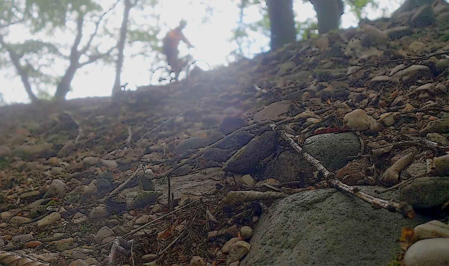 Gemähte Wiesen | Mountainbiken ist mehr….