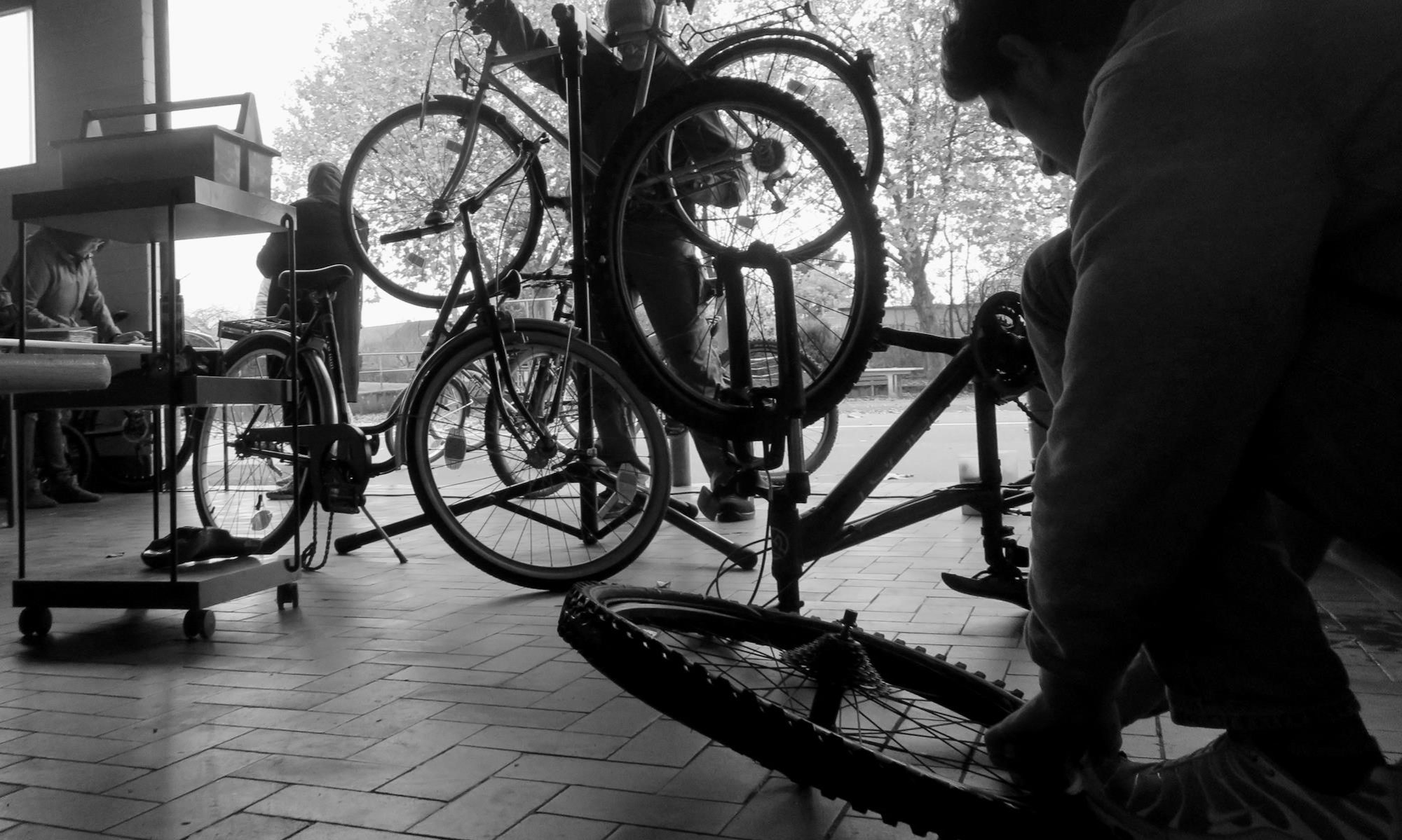 Pilze oder Kastanien? | Mountainbiken ist mehr